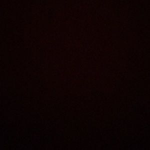 Meet your Posher, Paul